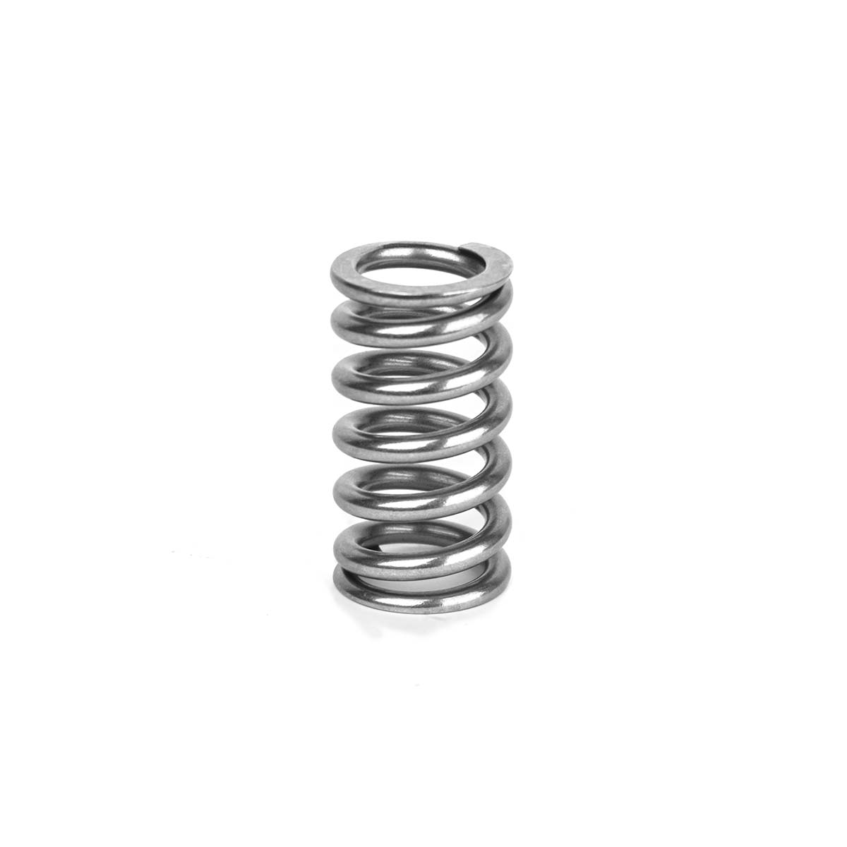 2.5L TFSI Audi RS3 & TTRS Sports Valve Springs Set Supertech –  AutoToolOnline